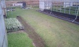 グランドカバー