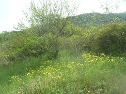 DSCN3995