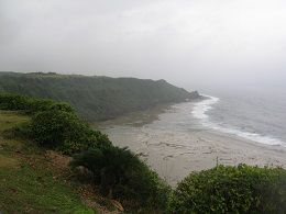 DSCN3466