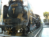 CIMG6502