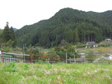 CIMG3523