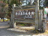 CIMG5291