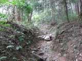 CIMG3544