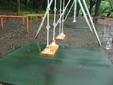 CIMG1221