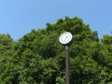 CIMG0975