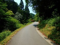暑い!!