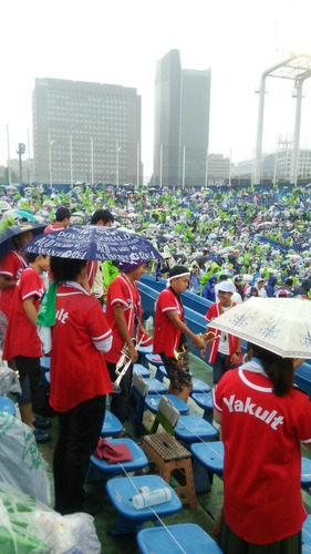 082dd384.jpg