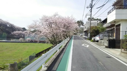 1a25abe3.jpg