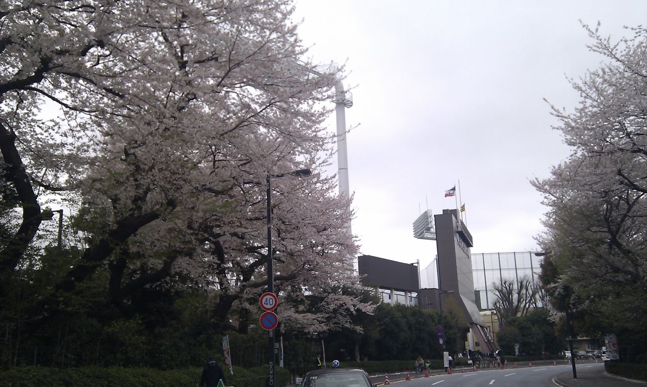 IMAG0092