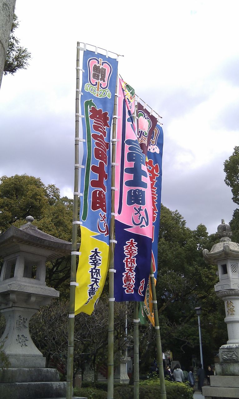 IMAG0401