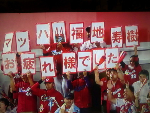 4447fcd7.jpg