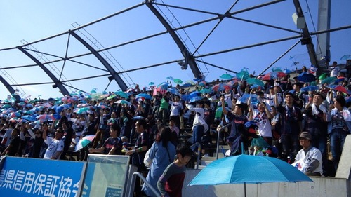5315c839.jpg