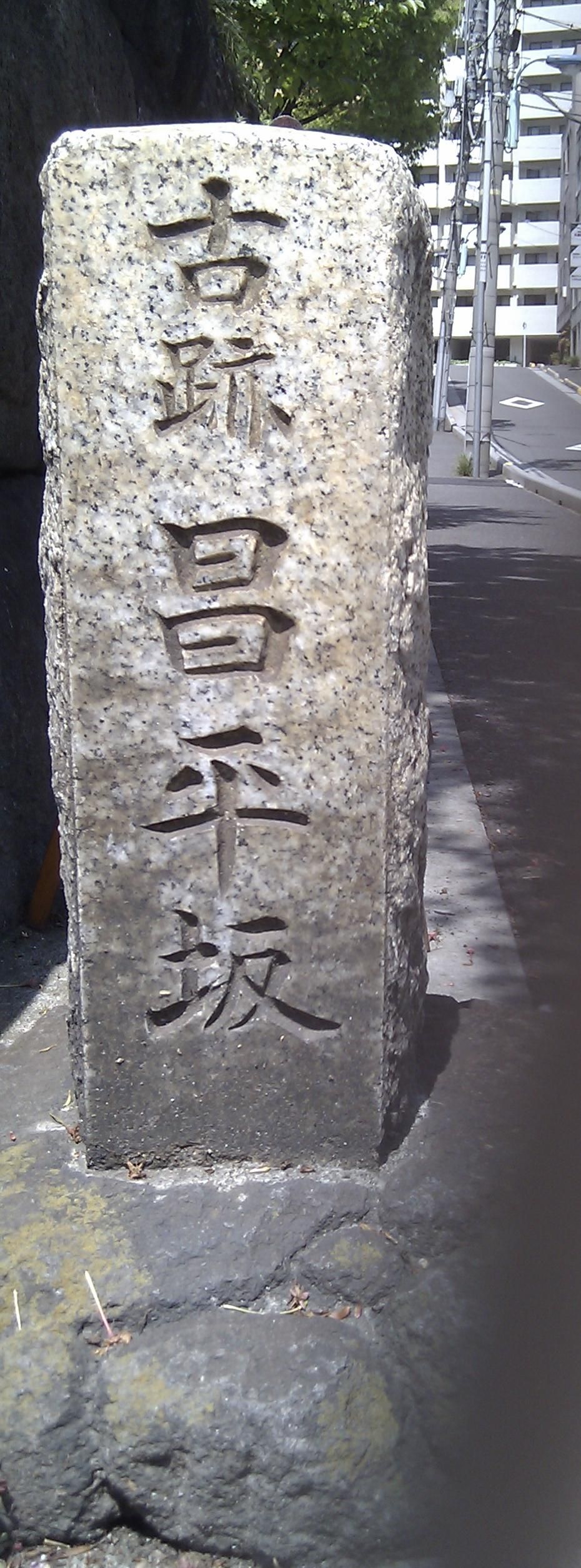 IMAG0748