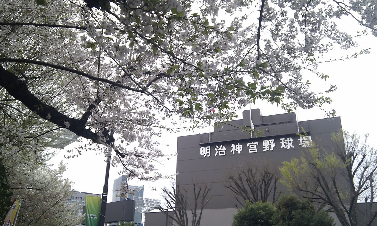 IMAG0098