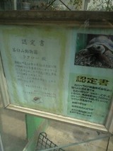 96f3a020.jpg