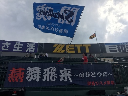 bedcd6e8.jpg