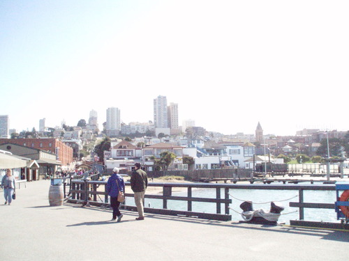 P3170044