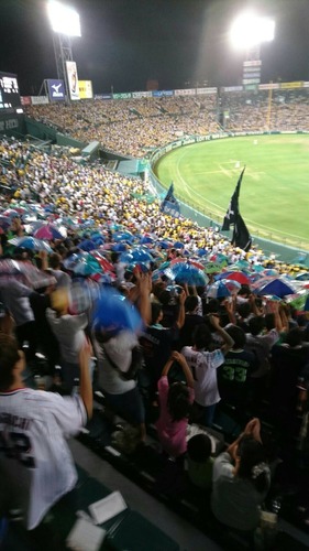 df941839.jpg