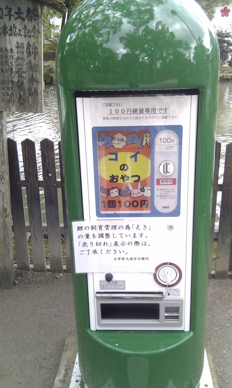 IMAG0398
