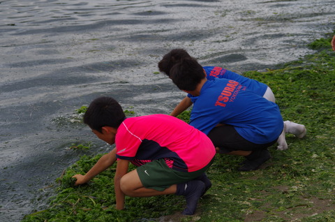IMGP4150