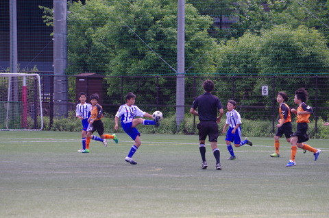 IMGP3569