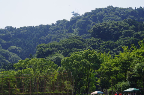 IMGP3745