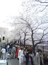 d0659d8e.jpg