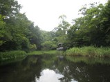 雲場池(スワンレイク