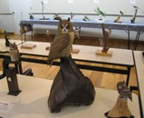 バードカービング作品展2