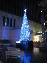 マリオンの横の通りのクリスマスツリー