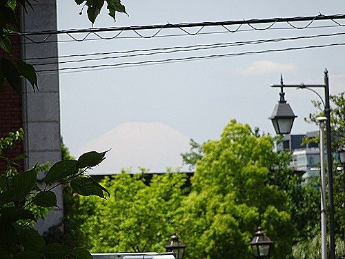 港の見える丘公園から富士山が見えました。