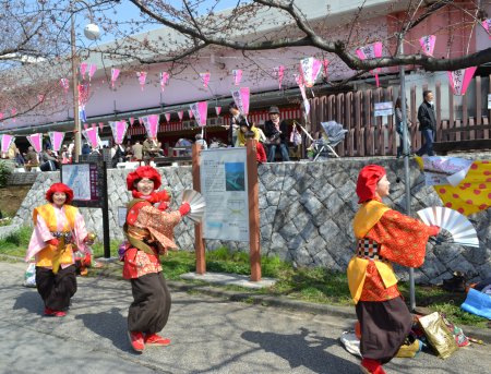 隅田川の桜祭り