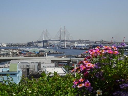 「第33回 全国都市緑化よこはまフェア」のみなとガーデンの散策