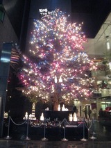 御木本のクリスマスツリー