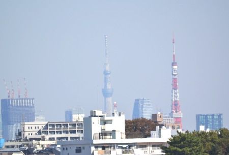 さ 東京 タワー 高