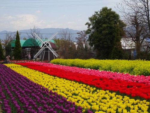 ハーブ庭園