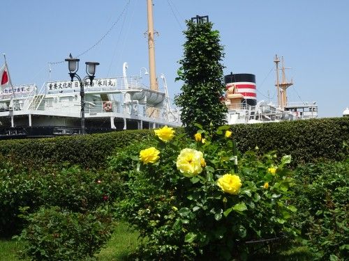「第33回 全国都市緑化よこはまフェア」のみなとガーデンの散策