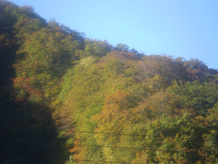 紅葉1