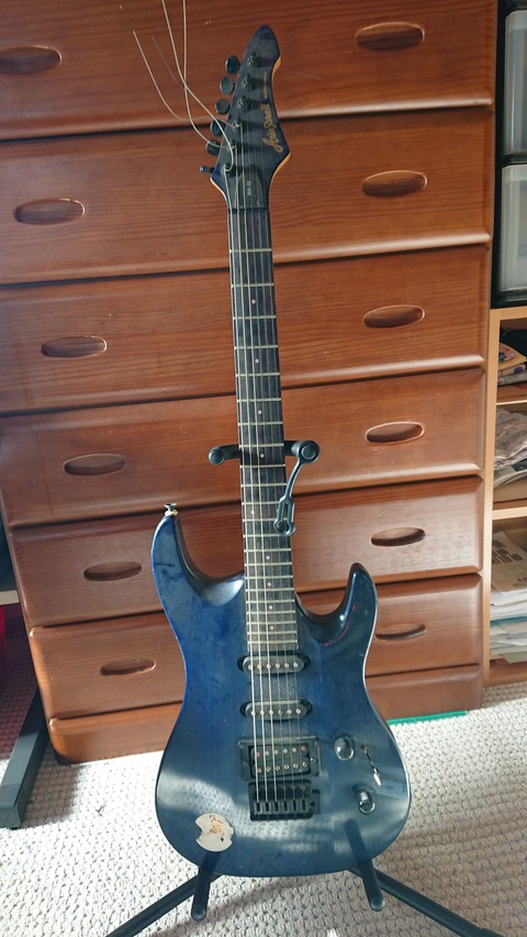 50003516-s.jpg