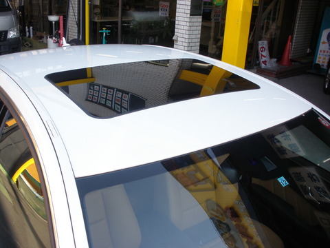 P9119525