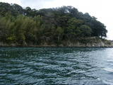 120130四万十川 (15)