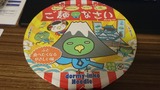 181007ドーミー網
