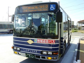 NSF-10