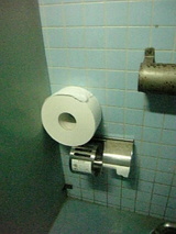 95ff00b5.jpg