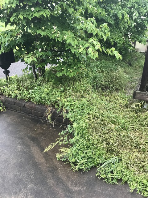 写真 2017-05-10 13 30 37