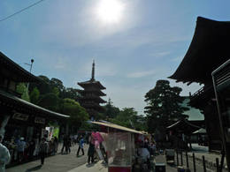 高幡不動尊090509-8