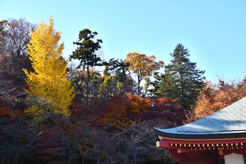 高幡不動尊201612