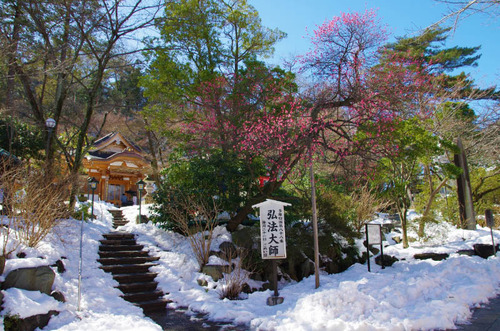 高幡不動201402-4
