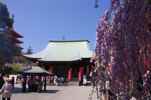 高幡不動尊201104-5