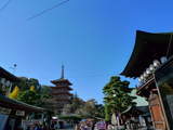 高幡不動081122-8